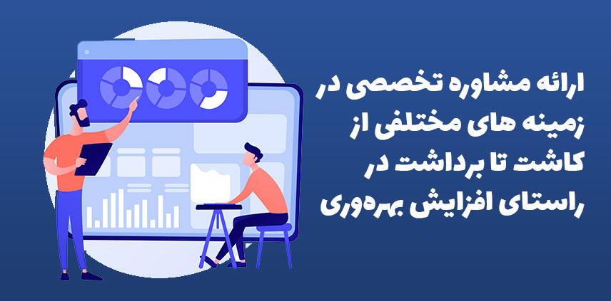 مشاوره تخصصی